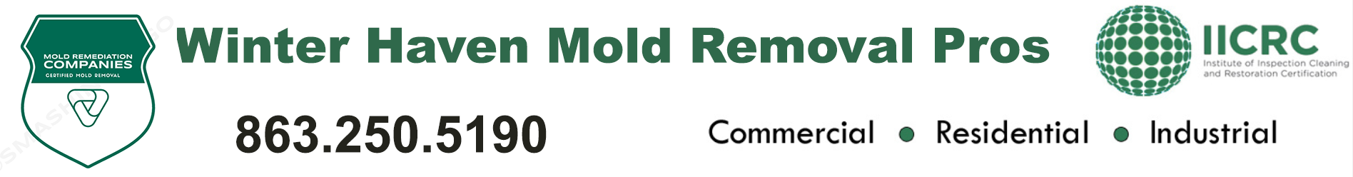 Winter Haven Mold Removal Pros